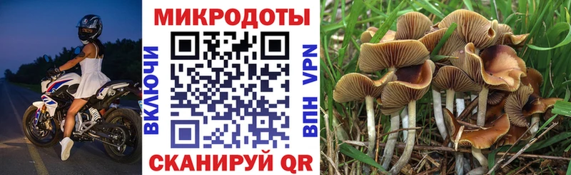 Галлюциногенные грибы ЛСД Горячеводский